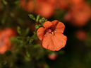 %_tempFileName02-20090607-0170%