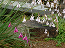 %_tempFileName04-20060625-0302%