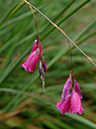 %_tempFileName05-20060625-0304%