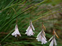 %_tempFileName06-20060625-0305%