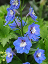 %_tempFileName02-20100627-0192%