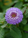 %_tempFileName02-20050925-0183%