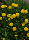 %_tempFileName01-20060416-0321%