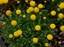 %_tempFileName02-20060416-0322%