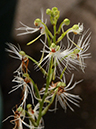 %_tempFileName02-20121008-0271%