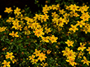 %_tempFileName03-20150705-0529%