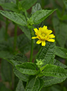 %_tempFileName02-20010527-0113%