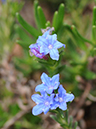 %_tempFileName01-20100509-0362%