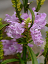 %_tempFileName01-20051002-0231%