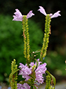 %_tempFileName02-20051002-0232%