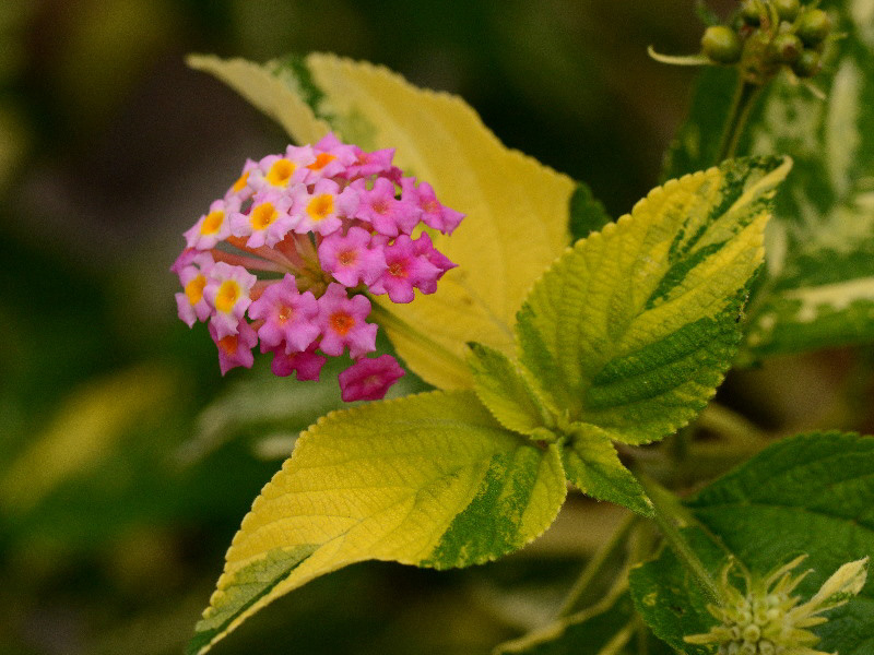 %_tempFileName01-20120603-0366%