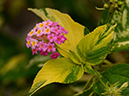 %_tempFileName01-20120603-0366%