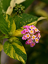%_tempFileName03-20120603-0368%