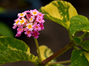 %_tempFileName04-20120603-0369%