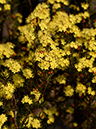 %_tempFileName01-20140316-0220%