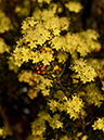 %_tempFileName02-20140316-0221%