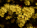 %_tempFileName04-20140316-0224%