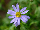 %_tempFileName03-20051009-0325%