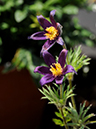 %_tempFileName01-20100503-0269%