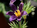 %_tempFileName02-20100503-0269%