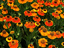 %_tempFileName01-20090628-0399%