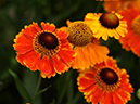 %_tempFileName02-20090628-0400%