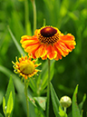 %_tempFileName03-20110626-0172%