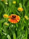 %_tempFileName04-20110626-0174%