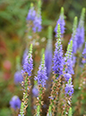 %_tempFileName01-20090718-0574%