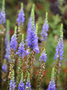 %_tempFileName02-20090718-0575%