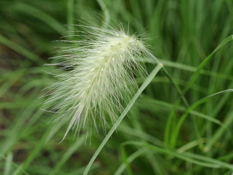 %_tempFileName05-20110626-0157%
