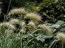 %_tempFileName01-20090628-0389%
