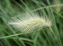 %_tempFileName03-20090718-0577%