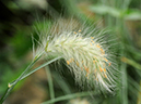 %_tempFileName04-20090718-0578%