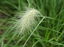 %_tempFileName05-20110626-0157%