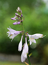 %_tempFileName01-20090718-0564%