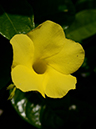 %_tempFileName01-20120812-0385%
