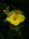 %_tempFileName02-20120812-0386%