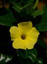 %_tempFileName03-20120812-0387%
