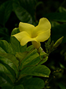 %_tempFileName04-20120902-0032%