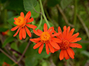 %_tempFileName01-20120909-0022%