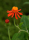 %_tempFileName02-20120909-0023%