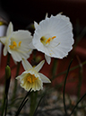 %_tempFileName02-20080308-0278%