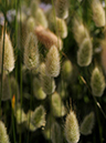 %_tempFileName01-20090607-0310%