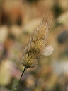 %_tempFileName02-20090607-0309%