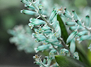 %_tempFileName01-20101226-0434%