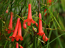%_tempFileName03-20090506-0198%