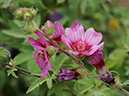 %_tempFileName02-20090628-0405%