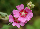 %_tempFileName03-20090628-0406%