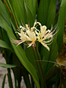 %_tempFileName01-20120902-0208%